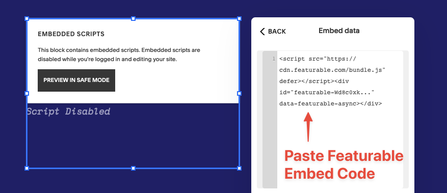 Paste Embed Code